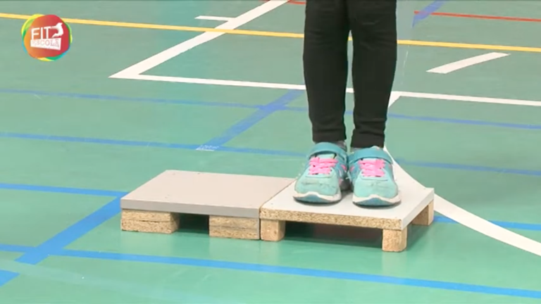 Transferências Laterais