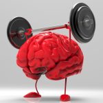 A atividade física melhora a função cognitiva