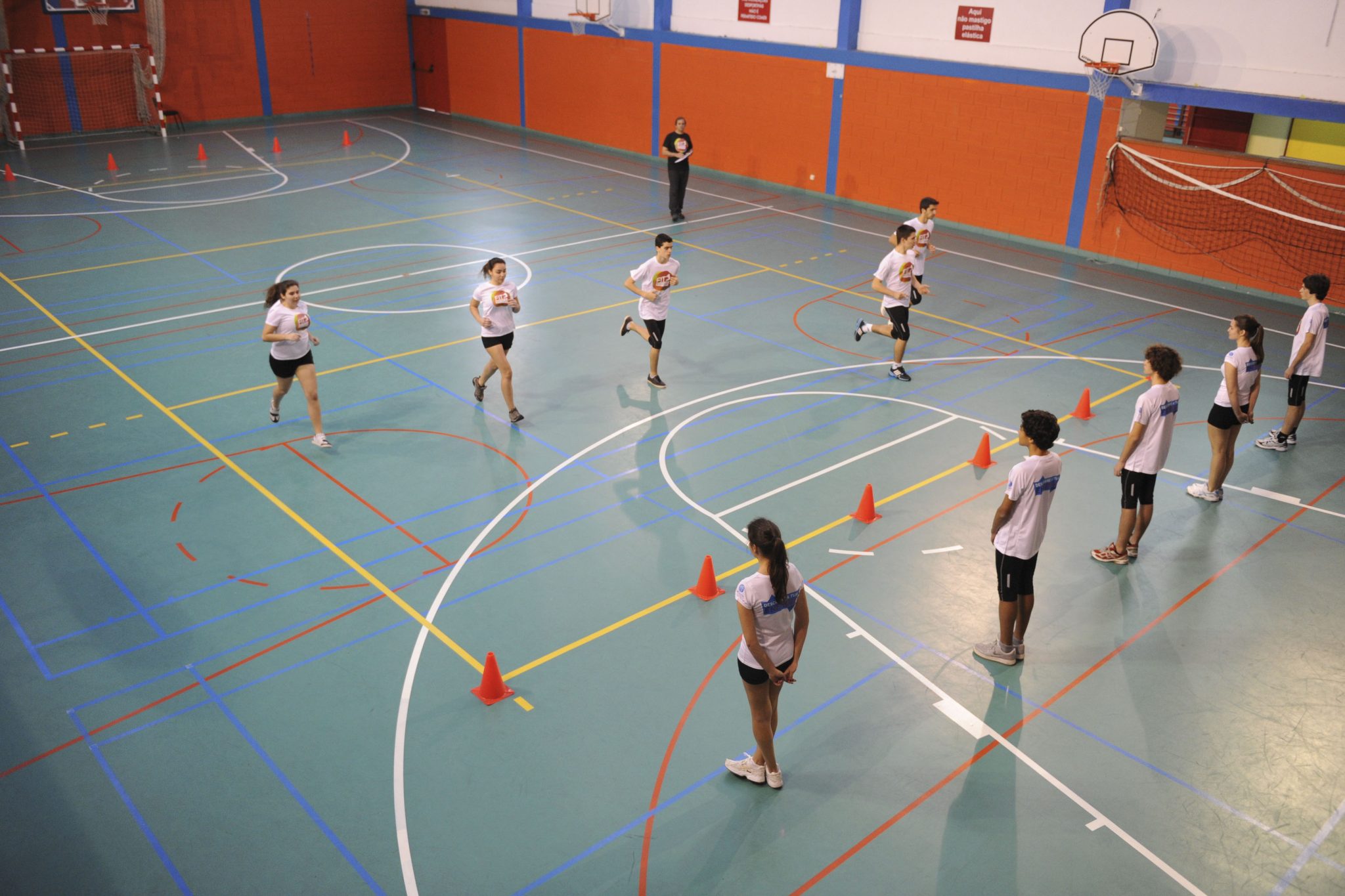 A EDUCAÇÃO FÍSICA USA PROCEDIMENTOS VALIDADOS PARA FACILITAR O ENSINO E DESENVOLVIMENTO DE COMPETÊNCIAS PARA UMA VIDA SAUDÁVEL